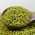 Chinese Dried Green Mung Bean